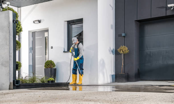 Best Dumpster Area Cleaning  in Idyllwild Pine Cove, CA